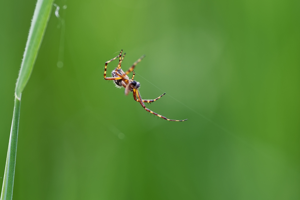 DSC_9102_DxO.jpg