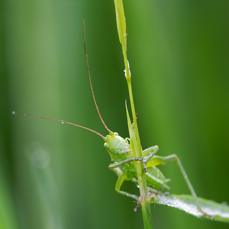 DSC_9107_DxO.jpg