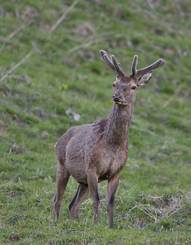 -DS5_1534.jpg