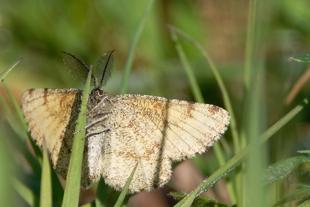 DSC_8406_DxO.jpg