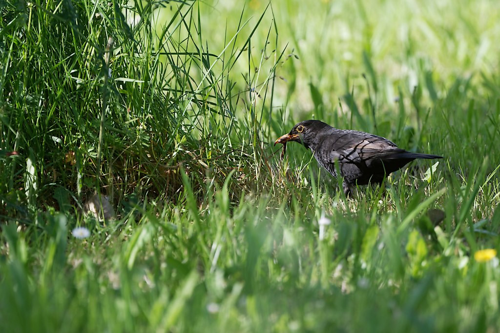 DSC_3980_DxO.jpg