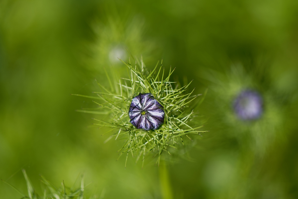 DSC_9128_DxO.jpg