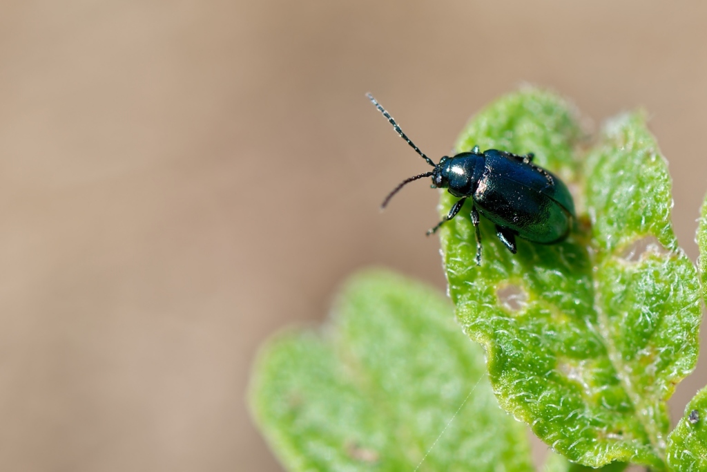 DSC_9135_DxO.jpg