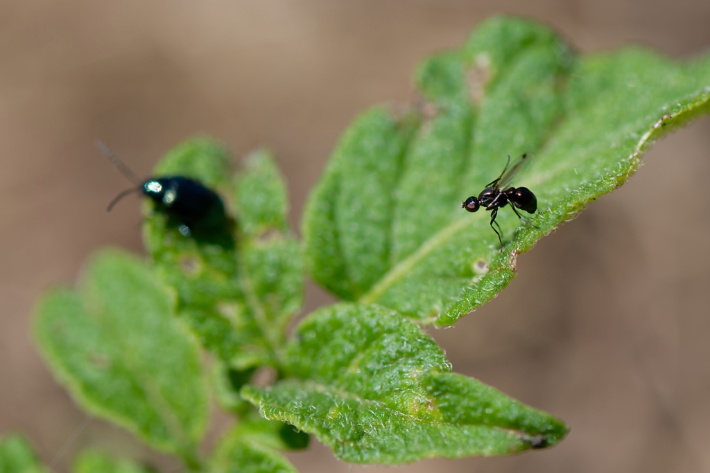 DSC_9137_DxO.jpg