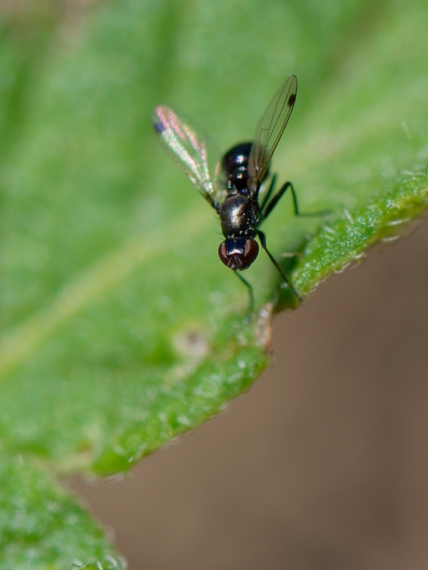 DSC_9140_DxO.jpg