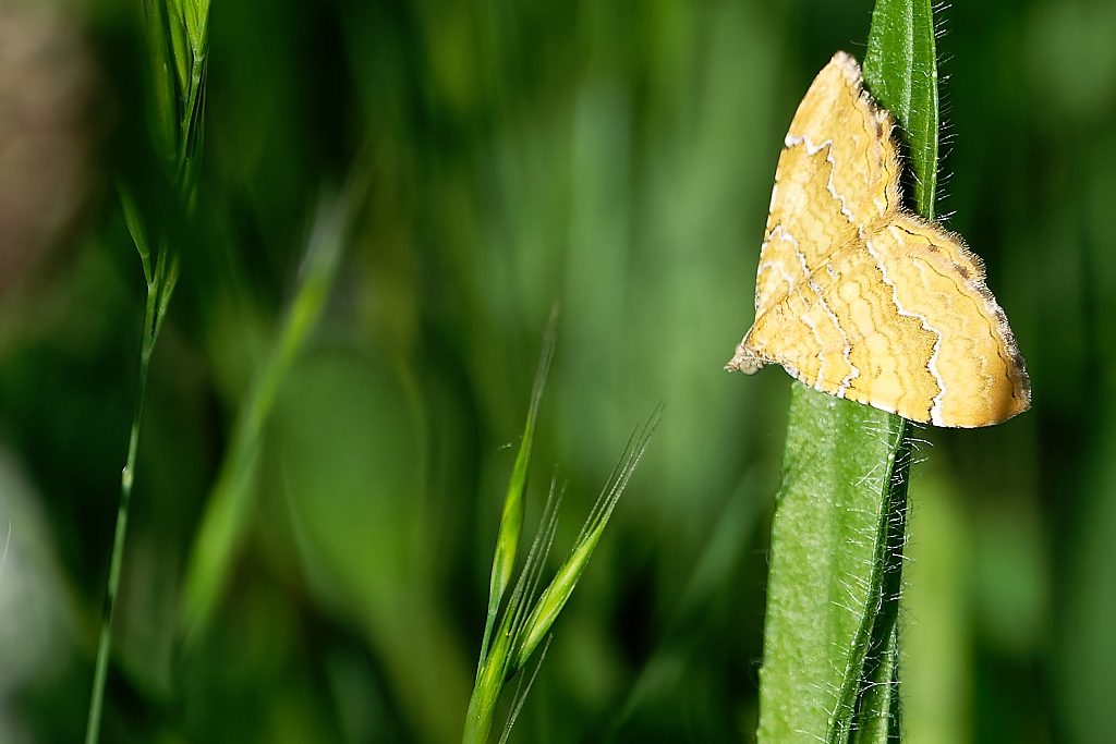 DSC_9163_DxO.jpg