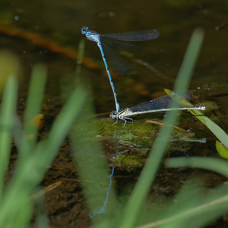 DSC_9177_DxO.jpg