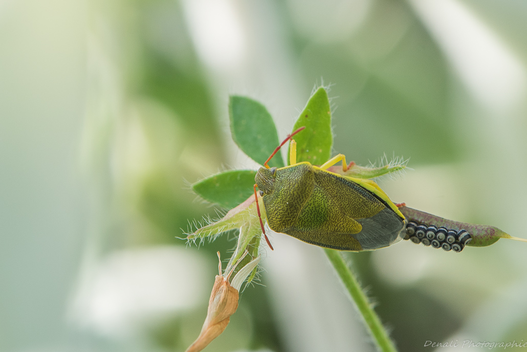 DSC_6911-2.jpg