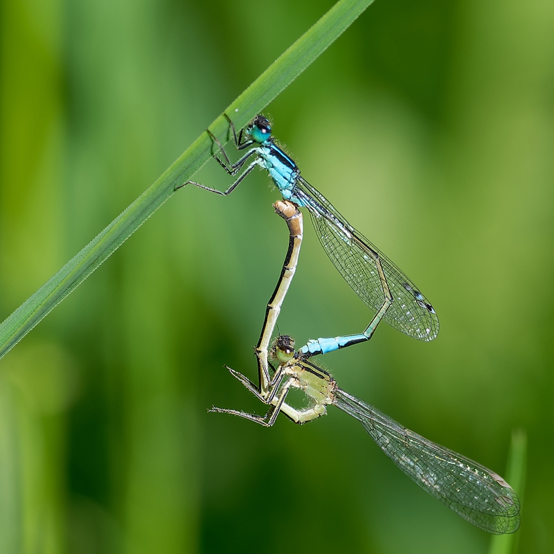 DSC_9219_DxO.jpg