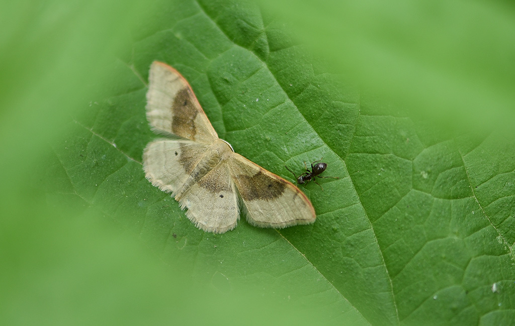 DSC_2014 copie 1.jpg