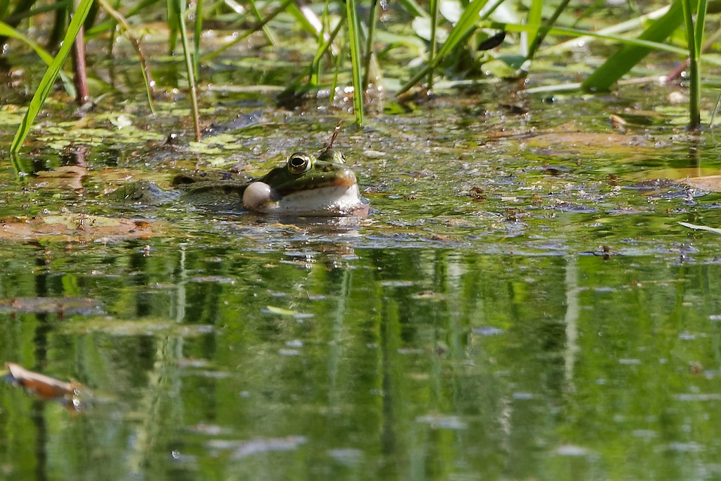 DSC_4034_DxO.jpg
