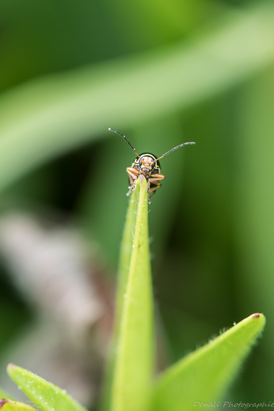 DSC_6945-2.jpg