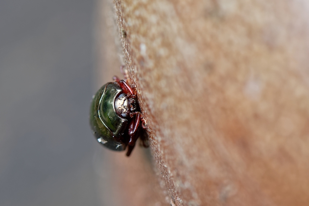 DSC_9422_DxO.jpg
