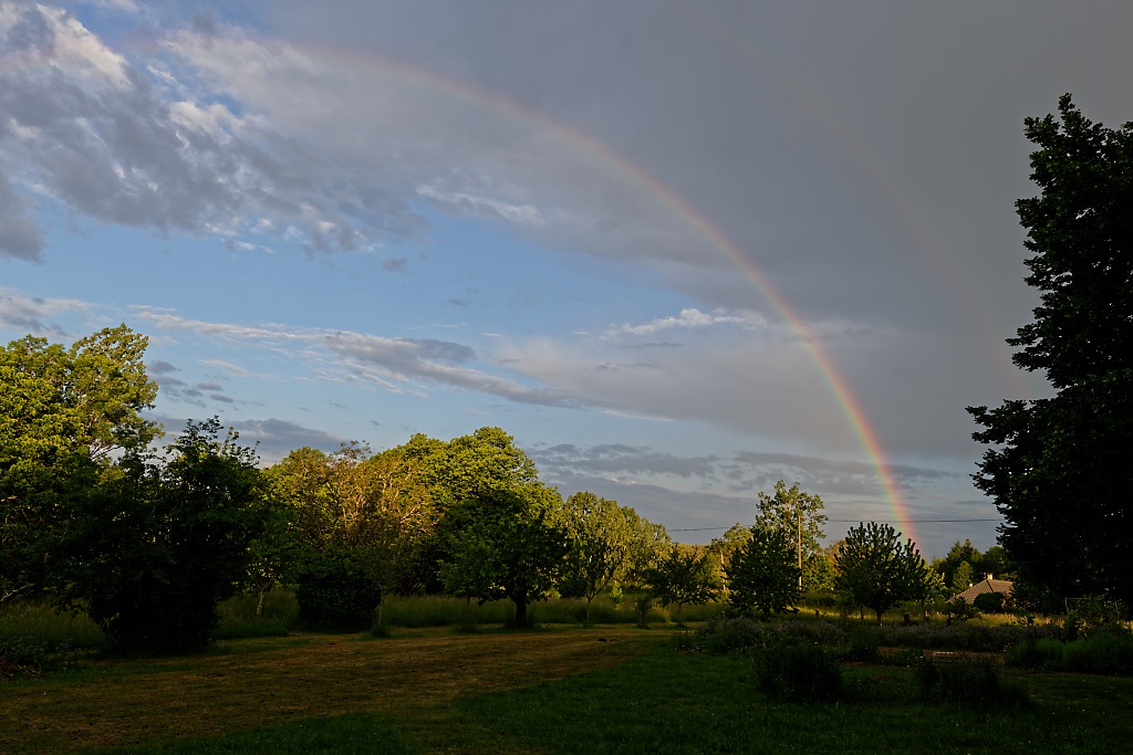DSC_9410_DxO.jpg