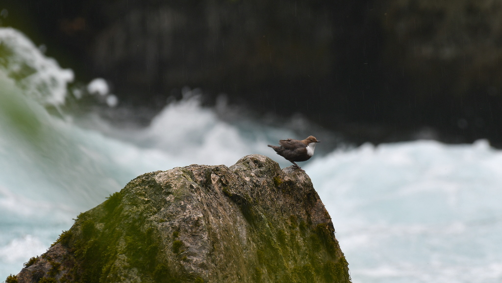 DSC_3051.JPG