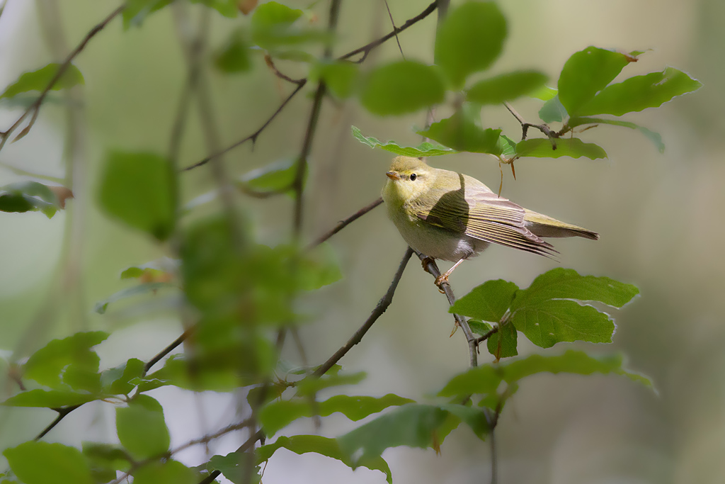 IMG_3215 IN.jpg
