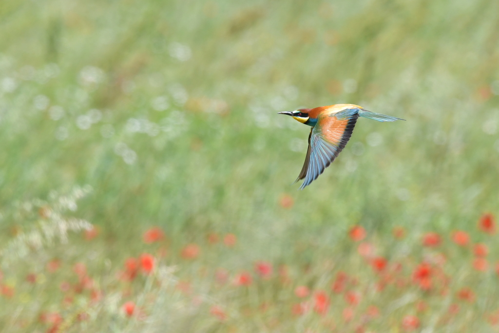 DSC_3574.JPG