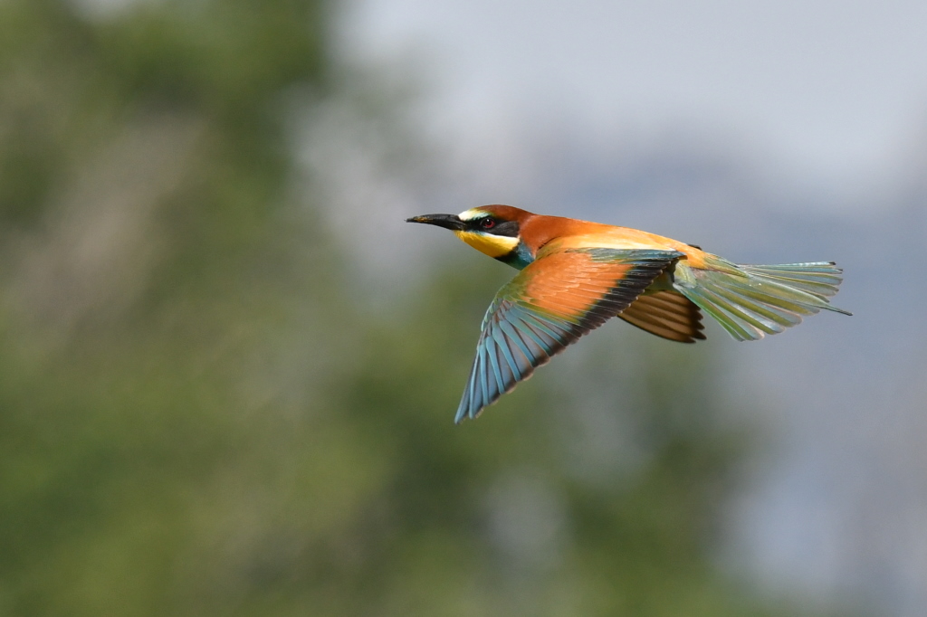 DSC_3578.JPG