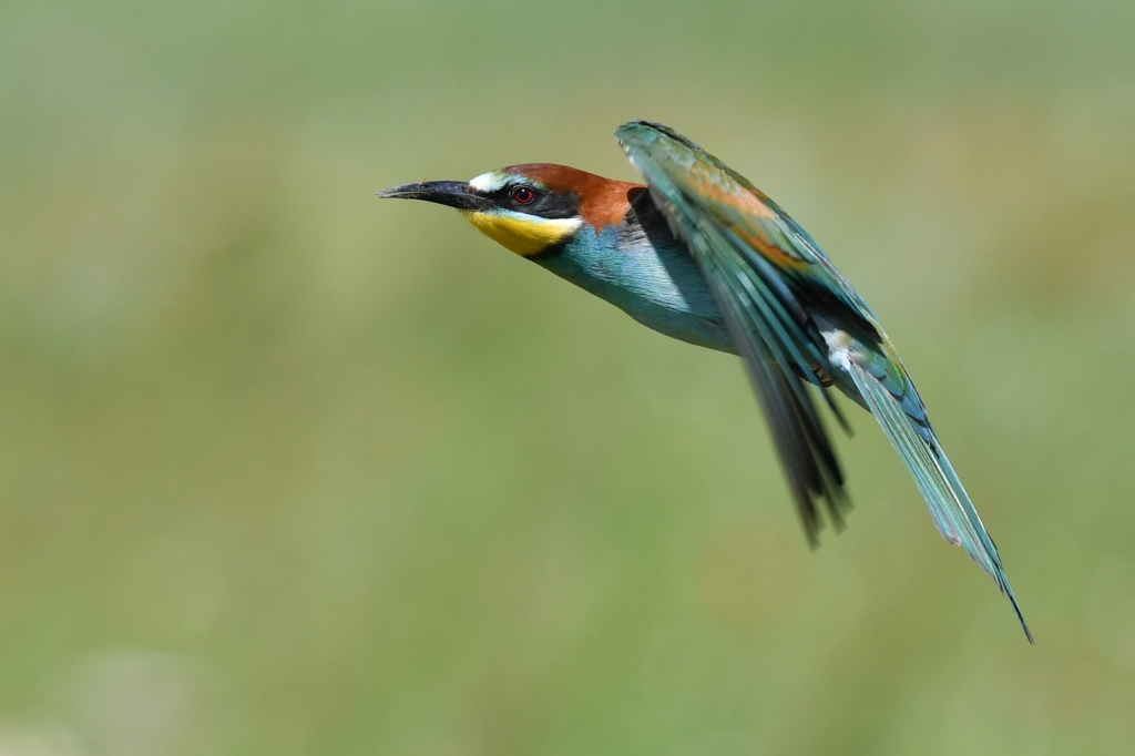 DSC_3634.JPG
