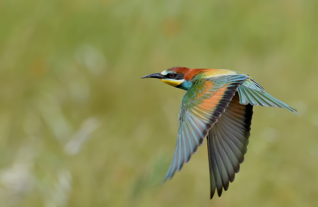DSC_3671.JPG
