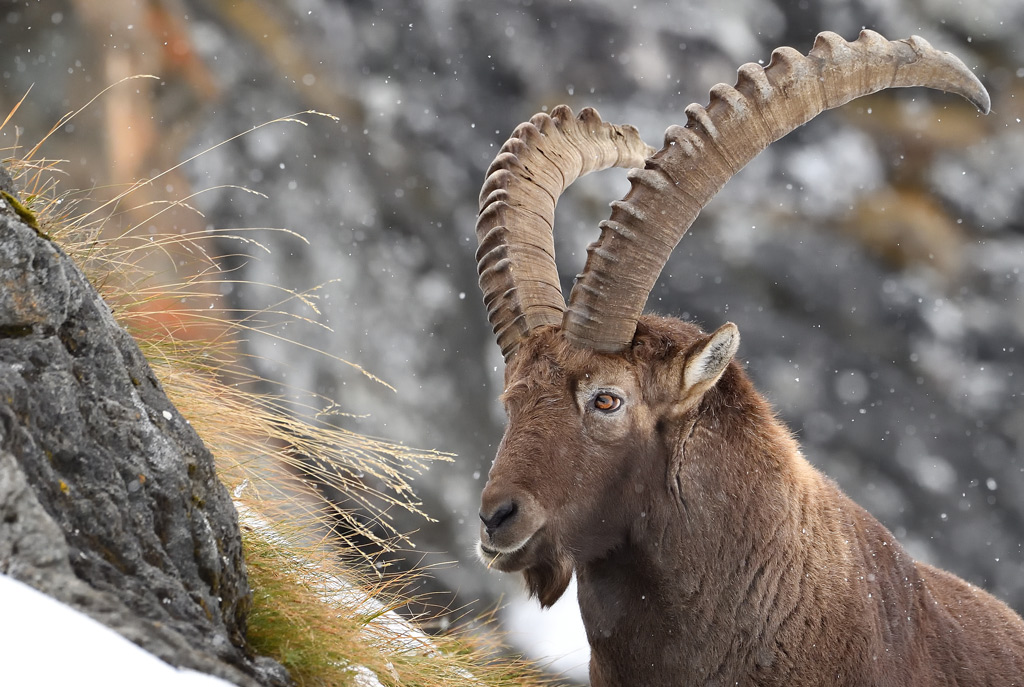 DS5_3384.jpg