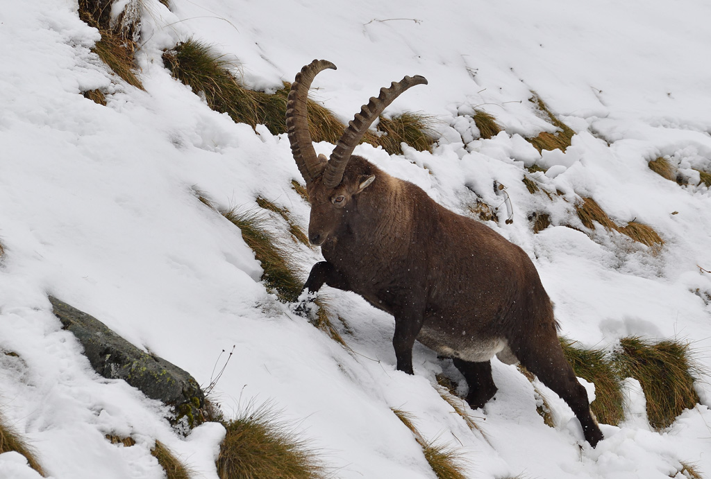DS5_3394.jpg