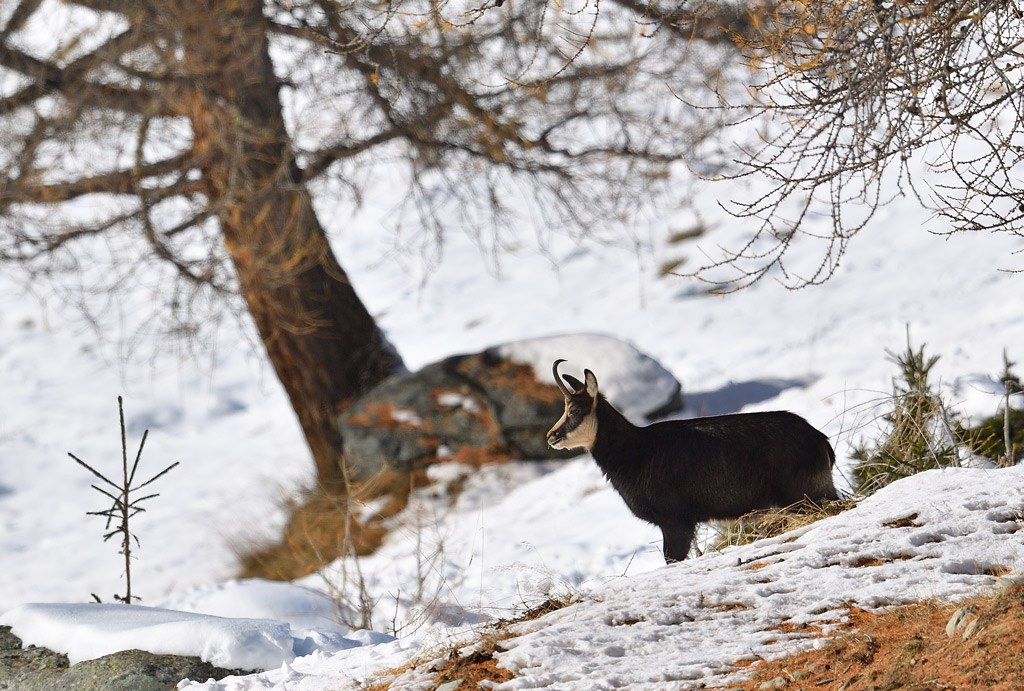 DS5_3424.jpg