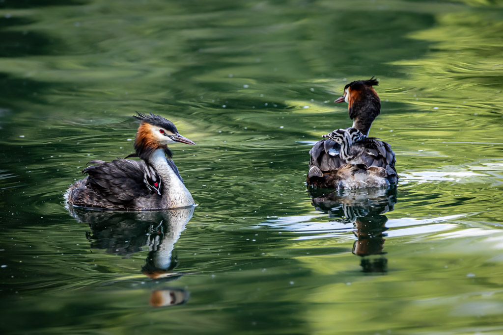 IMG_5948-2.jpg