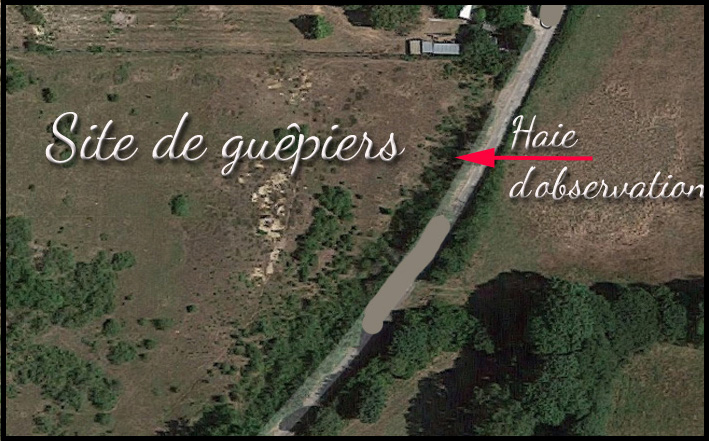 site.jpg
