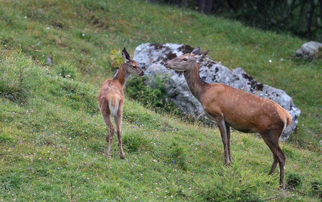 -DS5_8260.jpg