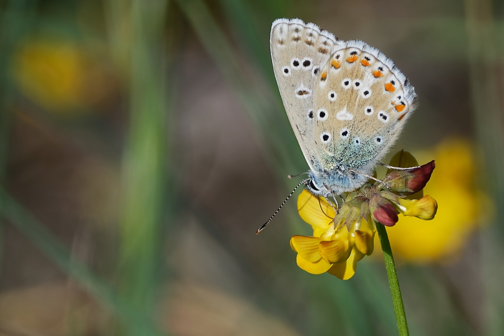 DSC_4307_DxO.jpg