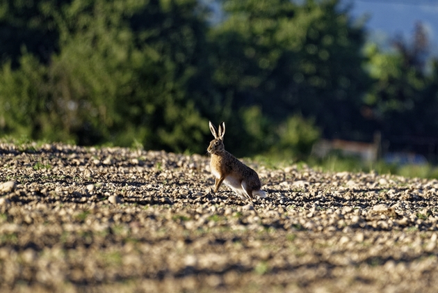 _DSC2689_DxO.jpg