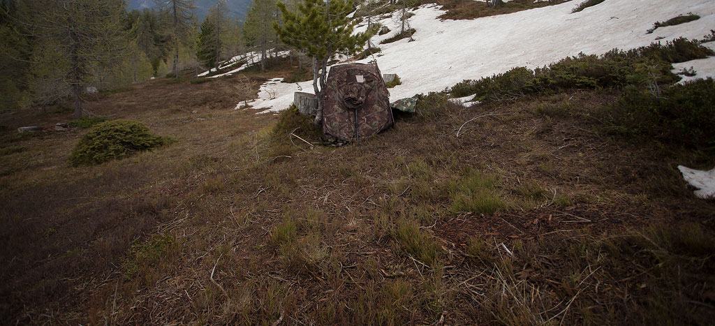 _MGL7974.jpg