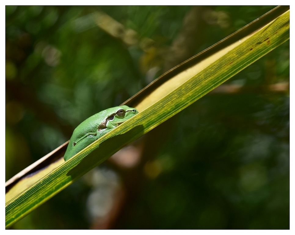 DSC_8845_00002_F.jpg