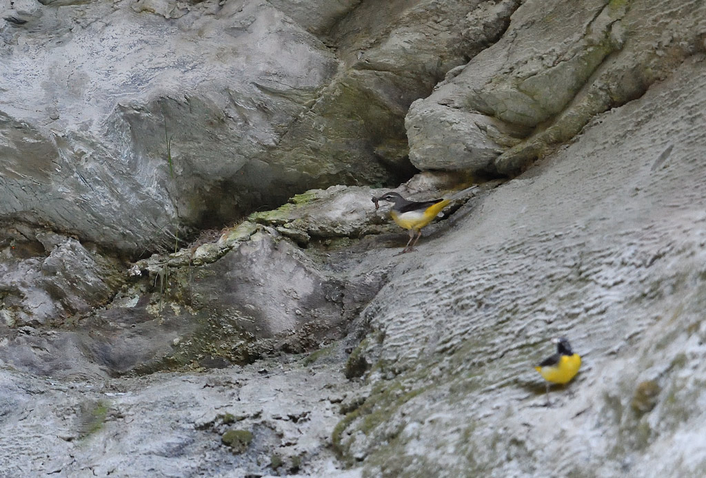DS5_5184.jpg