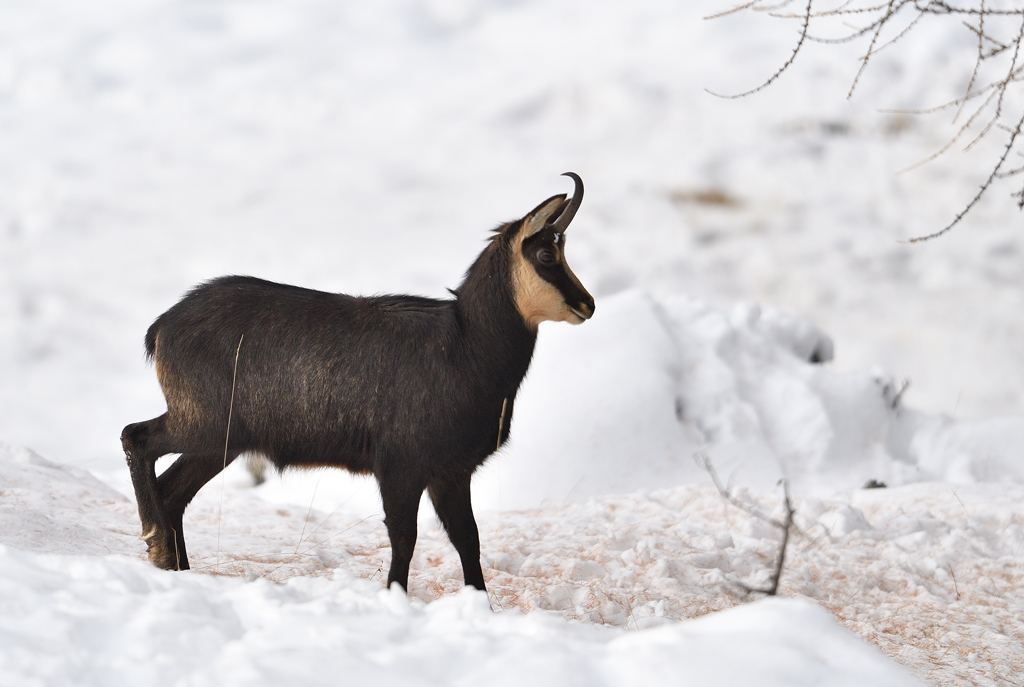 DS5_3536.jpg