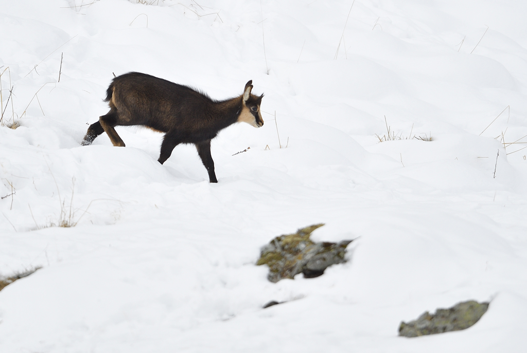 DS5_3547.jpg