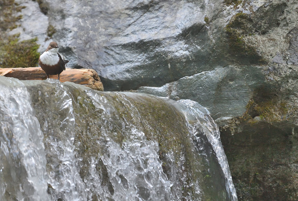 DS5_5204.jpg