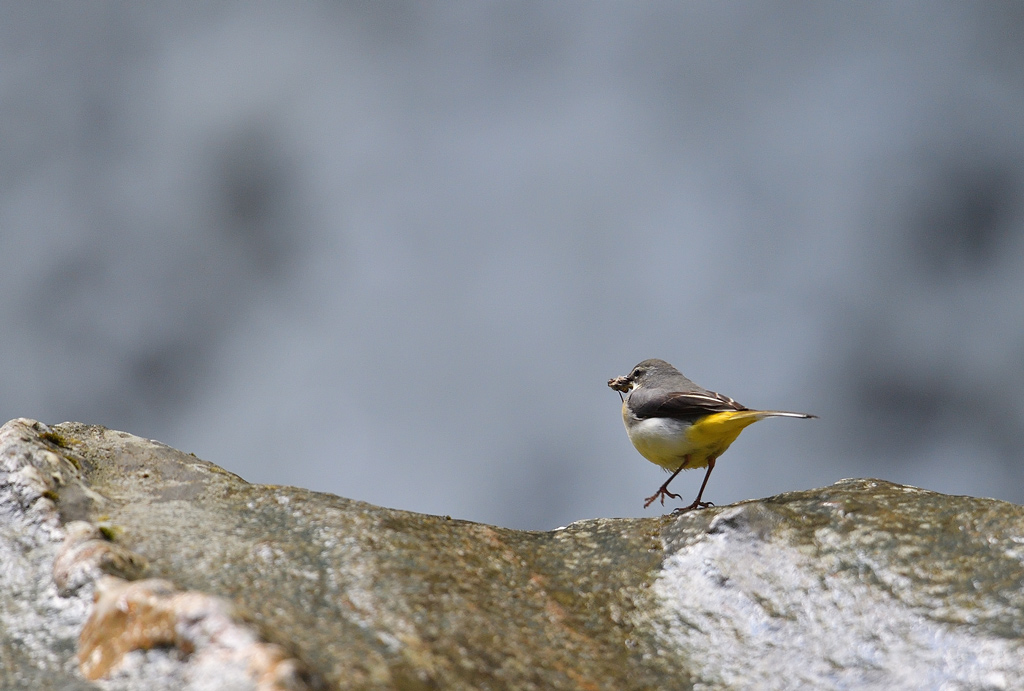 DS5_5216.jpg