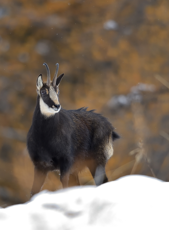 DS5_3602.jpg