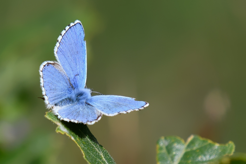 DSC_5282.JPG