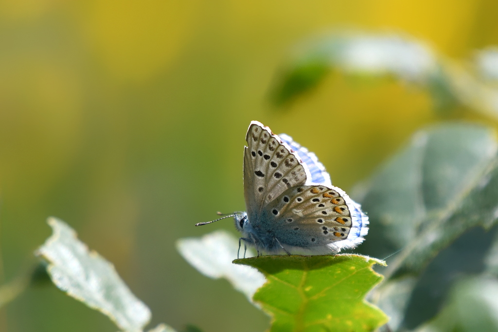 DSC_5273.JPG