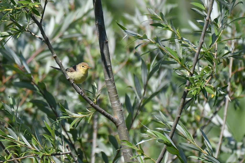 DSC_5564.JPG