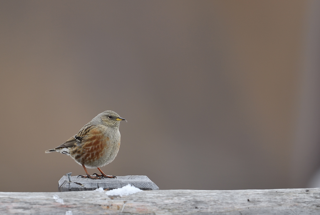 DS5_3673.jpg