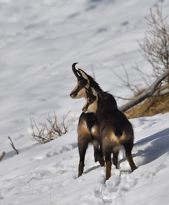 DS5_3683.jpg
