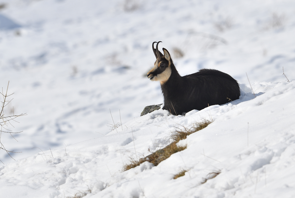 DS5_3693.jpg