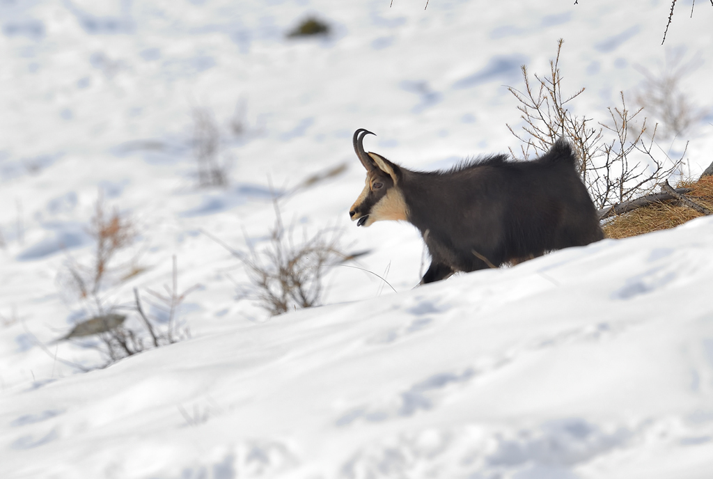 DS5_3705.jpg