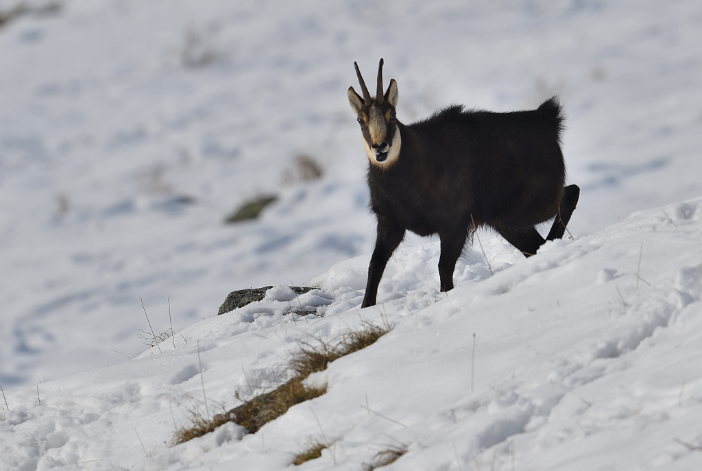 DS5_3714.jpg