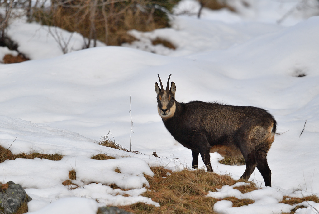 DS5_3747.jpg