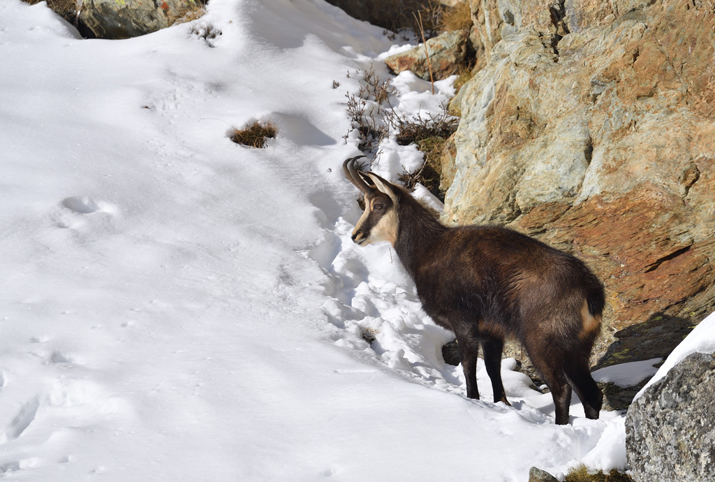 DS5_3812.jpg